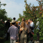 Apfelwanderung mit Bio-Vesper