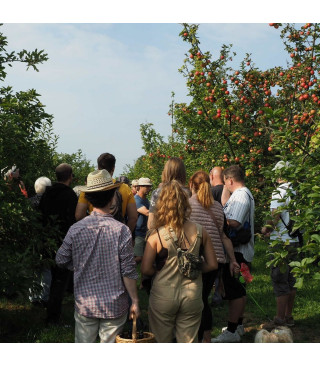 Apfelwanderung mit Bio-Vesper<br><p class=date_event_text>Samstag, 17.10.26, 14-16:30 Uhr</p>