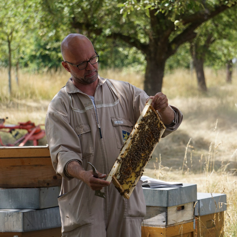 Bienenwanderung mit Honigprobe und Bio-Vesper
