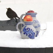 Winterschoppenwende mit Stockbrot und Grill-Apfel
