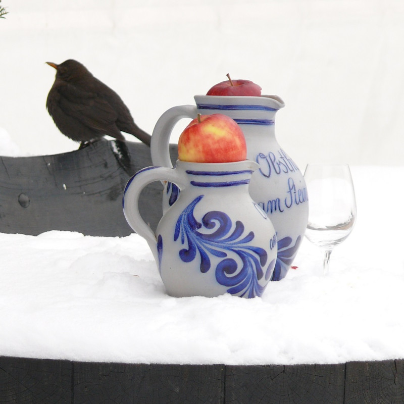 Winterschoppenwende mit Stockbrot und Grill-Apfel