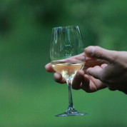 Schneiders Apfelwein-Raritäten-Verkostung mit Bio-Vesper