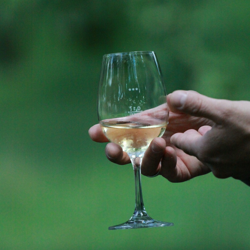 Schneiders Apfelwein-Raritäten-Verkostung mit Bio-Vesper