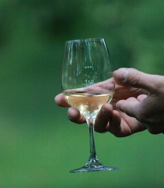 Schneiders Raritäten-Verkostung mit Bio-Vesper<br><p class=date_event_text>Samstag, 15.8.26, 16-18 Uhr</p>